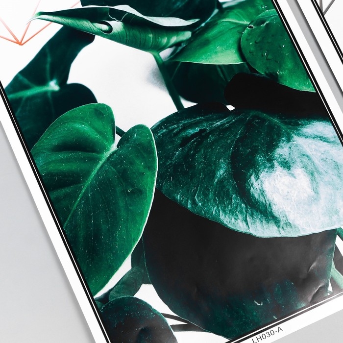 Наклейка пластик интерьерная триптих Наклейка пластик интерьерная триптих "Растения и геометрия" набор 3 листа 29,5х61 см