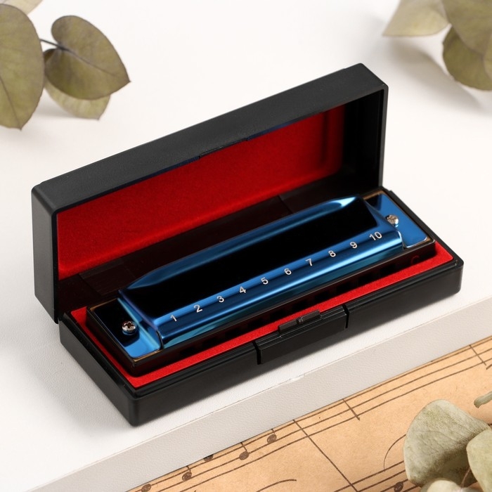 Губная гармошка Music Life T003 C диатоническая, 10 отверстий, с футляром, синяя Губная гармошка Music Life T003 C диатоническая, 10 отверстий, с футляром, синяя