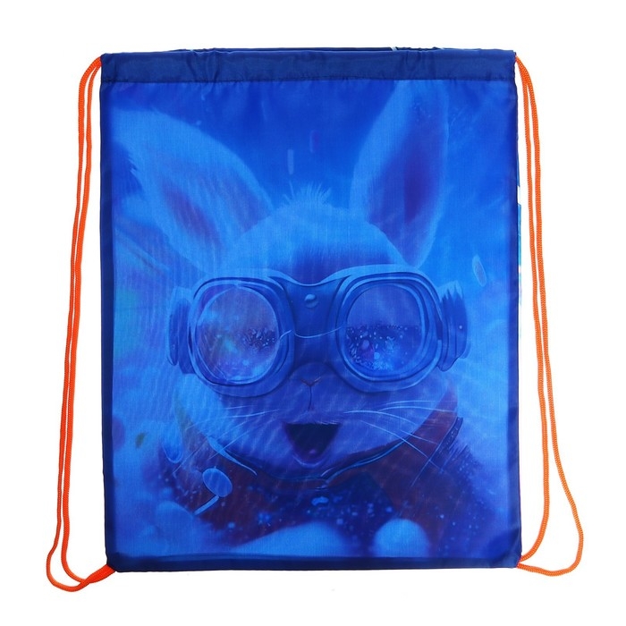 Мешок для обуви 420 х 340 мм, Calligrata МСО-5С, (мягкий полиэстер, плотность 210D),  Мешок для обуви 420 х 340 мм, Calligrata МСО-5С, (мягкий полиэстер, плотность 210D), "Пушистый дружок заяц"