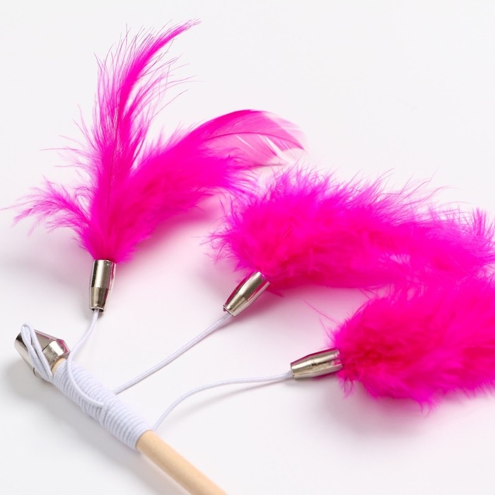 Дразнилка - удочка  Дразнилка - удочка "Салют из перьев" на деревянной палочке, микс цветов