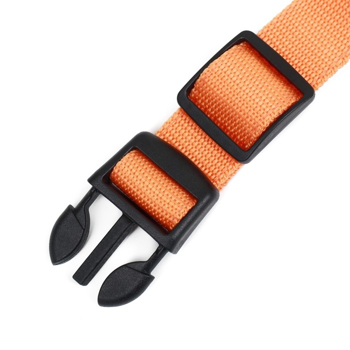 Ошейник с подсветкой Двойная полоса размер M, ОШ 40-48 х 2,5 см, 3 режима свечения оранжевый Ошейник с подсветкой Двойная полоса размер M, ОШ 40-48 х 2,5 см, 3 режима свечения оранжевый