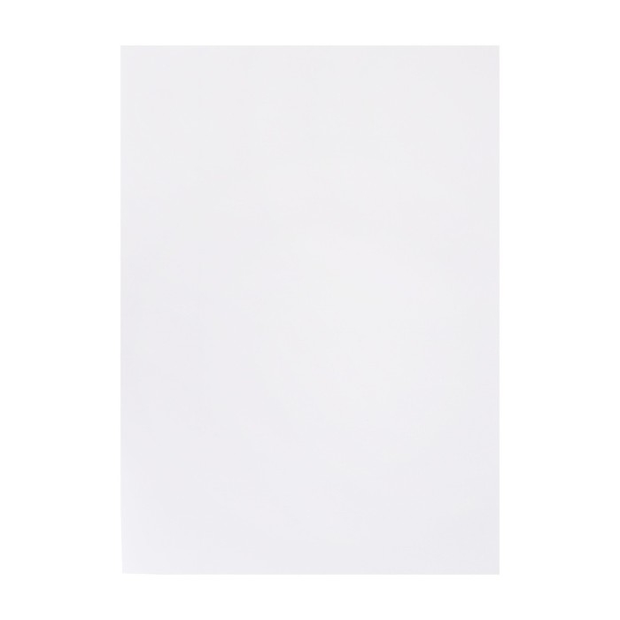 Бумага для пастели А5, 20 листов  Бумага для пастели А5, 20 листов "Собака", блок 160 г/м2, в папке