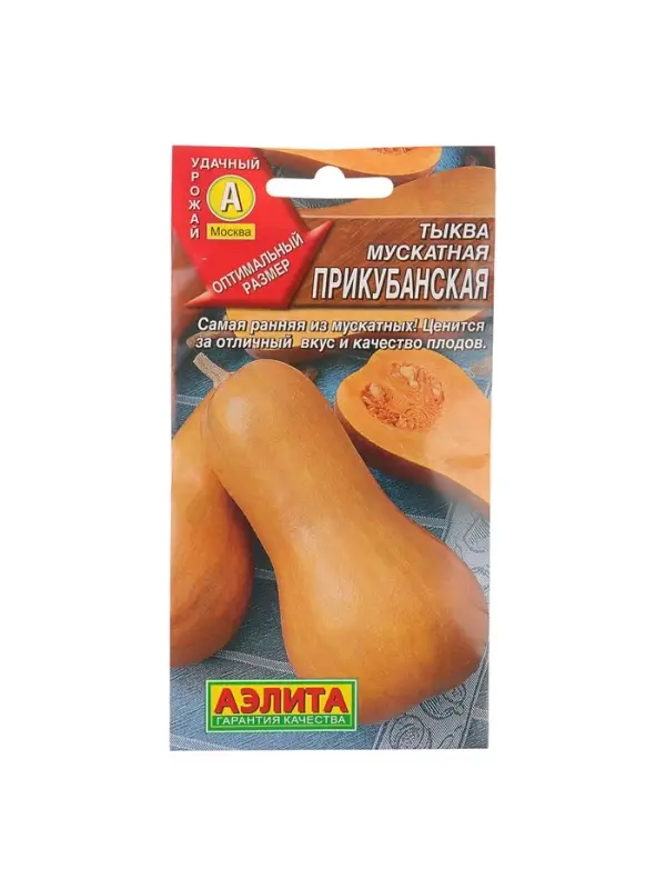 Набор семян Тыква мускатная "Прикубанская", 5 шт.