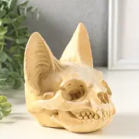 Копилка для денег &laquo;Череп сфинкса&raquo;, 14&times;14&times;13 см, натуральный