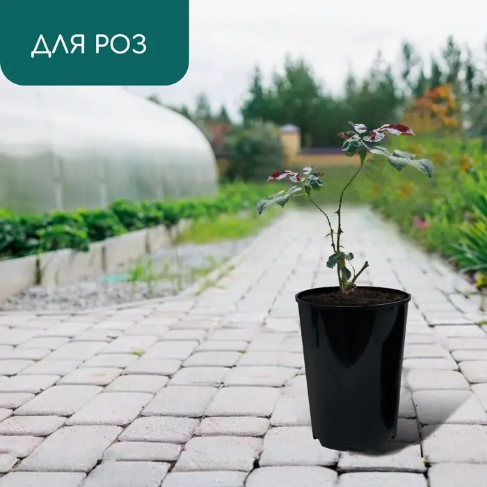 Горшок для рассады, для роз, 7 л, d=22 см, h=26 см, чёрный, Greengo