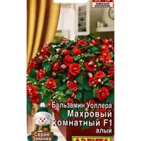 Семена цветов Бальзамин Махровый комнатный F1 алый Зимний сад, Ц/П,5 шт. Семена цветов Бальзамин Махровый комнатный F1 алый Зимний сад, Ц/П,5 шт.