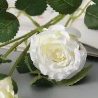 Цветы искусственные &laquo;Роза Августина галант&raquo;, d=6 см, h=55 см, белые