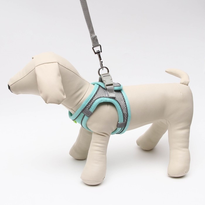 Комплект с мягкой шлейкой, быстросъемный, S, поводок 150 х 1,5 см, ОШ 33-36 см, ОГ 35-40 см, бирюз Комплект с мягкой шлейкой, быстросъемный, S, поводок 150 х 1,5 см, ОШ 33-36 см, ОГ 35-40 см, бирюз