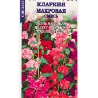 Семена Кларкия Махровая смесь изящная /Сотка/ 0,2 г/*1500 Семена Кларкия Махровая смесь изящная /Сотка/ 0,2 г/*1500
