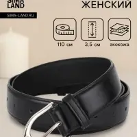 Ремень женский, 3.5&times;110 см, 1 прокол, серебристая пряжка, без винта, чёрный