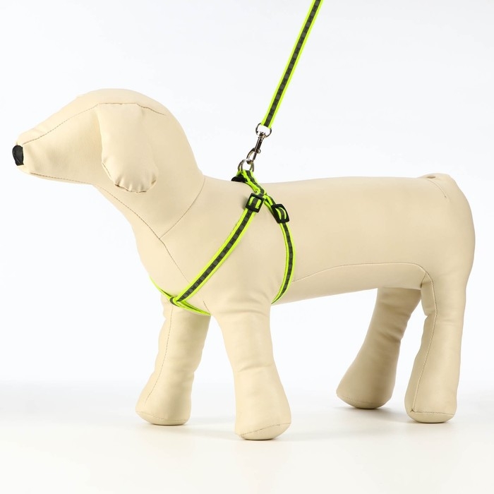 Комплект светоотражающий Комплект светоотражающий "Косточки", ошейник 120 х 1 см, ОШ 26-42 см, ОГ 26-42 см, зелёный