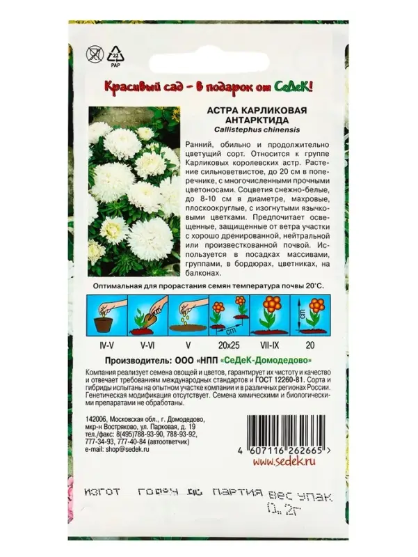 Семена Цветов Астра  Семена Цветов Астра "Антарктида "0.2 г