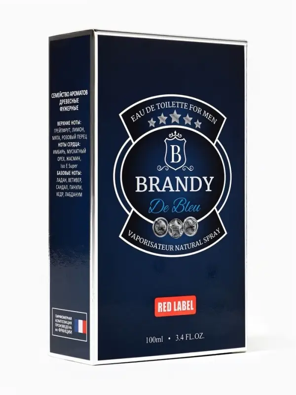 Туалетная вода мужская Brandy De Bleu, 100 мл