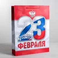 Пакет подарочный ламинированный, упаковка, «23 февраля!», S 12 х 15 х 5.5 см