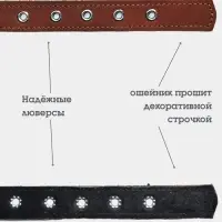 Ошейник, 50&times;2.5 см, с подкладом тиснение, кожа, коричневый