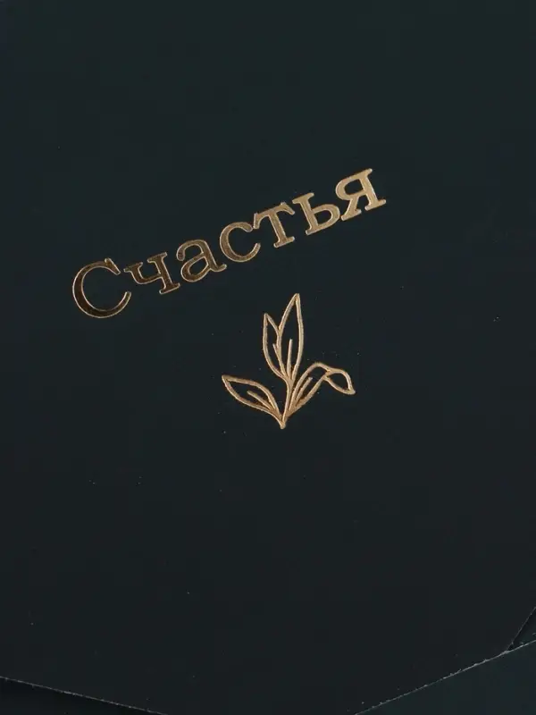 Конверт подарочный &laquo;Счастья&raquo;, софт тач, тиснение, 19&times;9 см