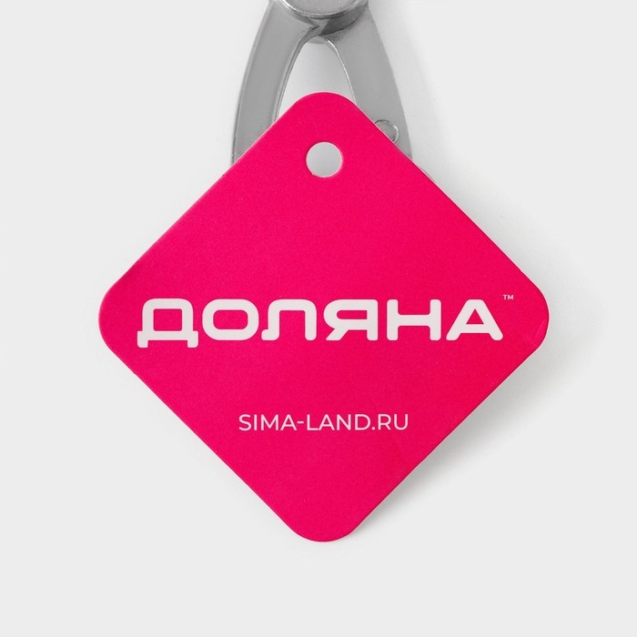 Удалитель косточек Доляна «Любитель», 18 см Удалитель косточек Доляна «Любитель», 18 см