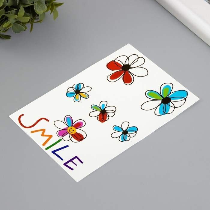 Татуировка на тело цветная Татуировка на тело цветная "Улыбка" 10,5х15,2 см