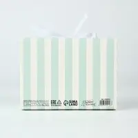 Коробки подарочные самосборные &laquo;Сюрприз&raquo;, набор 3 шт., 16.5&times;12.5&times;5 см