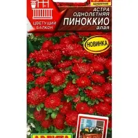 Семена цветов Астра Пиноккио алая Цветущий балкон, Ц/П,0,05 г Семена цветов Астра Пиноккио алая Цветущий балкон, Ц/П,0,05 г