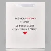 Пакеты подарочные &laquo;Любимому учителю&raquo;, набор 3 шт., ML 23&times;27&times;11.5 см