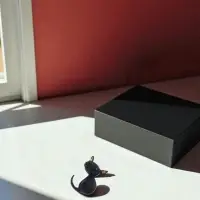 Брошь &laquo;Котёнок&raquo;, чёрная, глянцевая в золоте