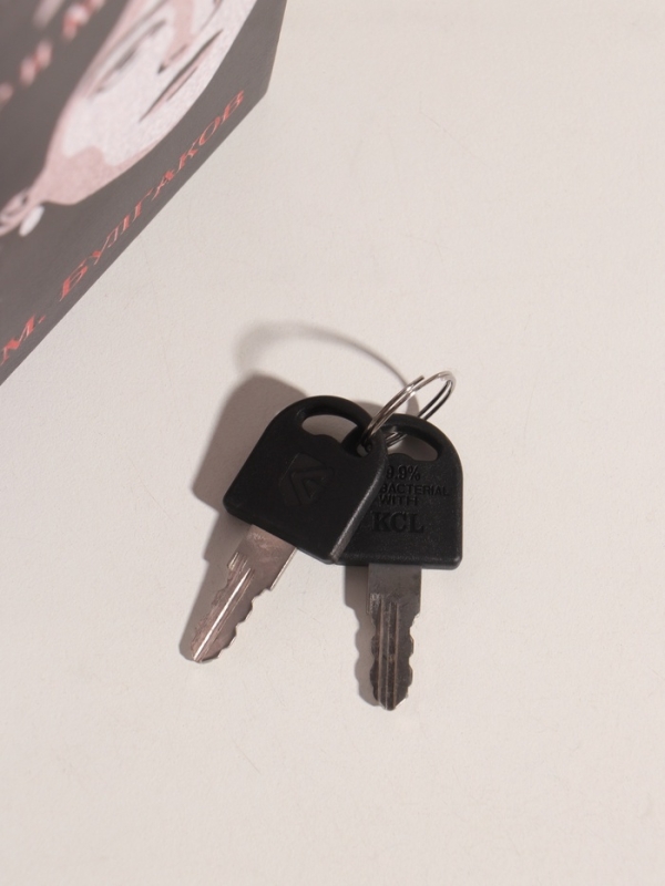 Сейф-книга дерево кожзам "Михаил Булгаков. Мастер и Маргарита" 21х13х5 см