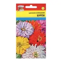 Семена цветов Цинния изящная "Бурпи", 0,3 г