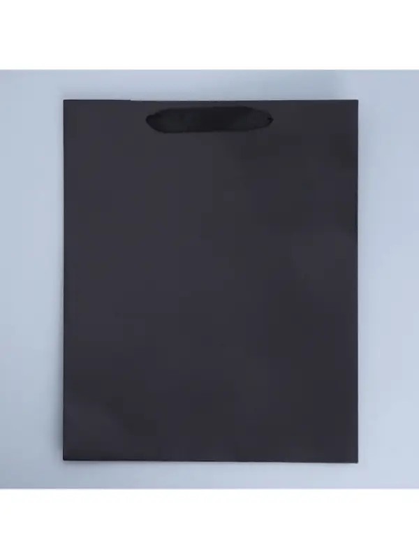 Пакет подарочный ламинированный, упаковка, &laquo;Чёрный&raquo;, M 26&times;30&times;9 см