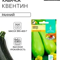Семена Кабачок &laquo;Квентин&raquo;, 10 шт., &laquo;Евро-семена&raquo;