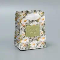 Пакет подарочный ламинированный, упаковка, Present, 9&times;12&times;6.5 см