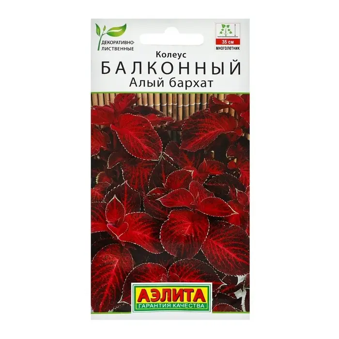 Семена цветов Колеус балконный  Семена цветов Колеус балконный "Алый бархат", ц/п, 5 шт