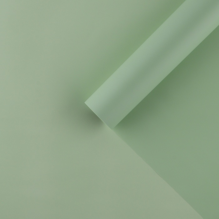 Плёнка для цветов упаковочная матовая «Хаки», 0.5 х 9 м Плёнка для цветов упаковочная матовая «Хаки», 0.5 х 9 м