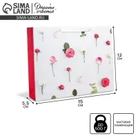Пакет подарочный ламинированный, упаковка, &laquo;Ты прекрасна&raquo;, S 15&times;12&times;5.5 см