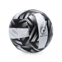 Волейбольный мяч MINSA PLAY HARD, машинная сшивка, 18 панелей, р. 5, PVC