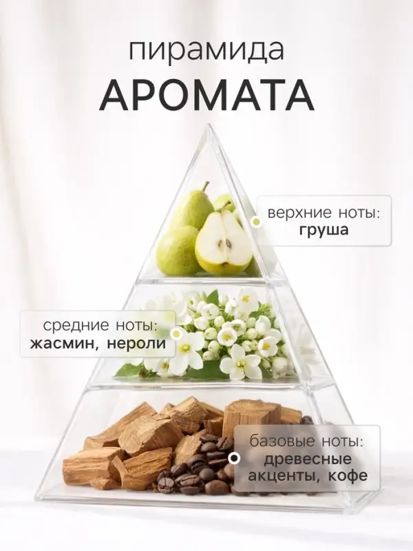 Диффузор ароматический с палочками ХО The Nicety, 200 мл