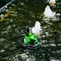 Садовая фигура 14 х 13 х 9,5 см "Лягушка на шине" Водоплавающая Садовая фигура 14 х 13 х 9,5 см "Лягушка на шине" Водоплавающая