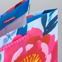 Пакет подарочный ламинированный &laquo;Декор&raquo; 18&times;22.3&times;10 см