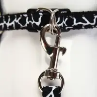 Шлейка с поводком &laquo;Жираф&raquo;, ширина 1 см, поводок 120 см, шлейка 23-35 см, чёрная, белая