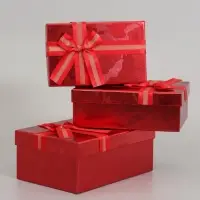 Набор подарочных коробок 3 в 1, прямоугольные 23&times;16&times;9.5 21&times;14&times;8.0 19&times;12&times;6.5 см
