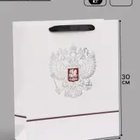 Пакет подарочный &laquo;Россия&raquo;, 25.5&times;30&times;9 см