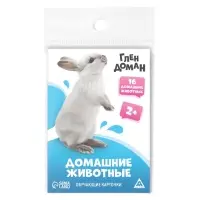 Обучающие карточки по методике Глена Домана &laquo;Домашние животные&raquo;, 8 карт, 2+