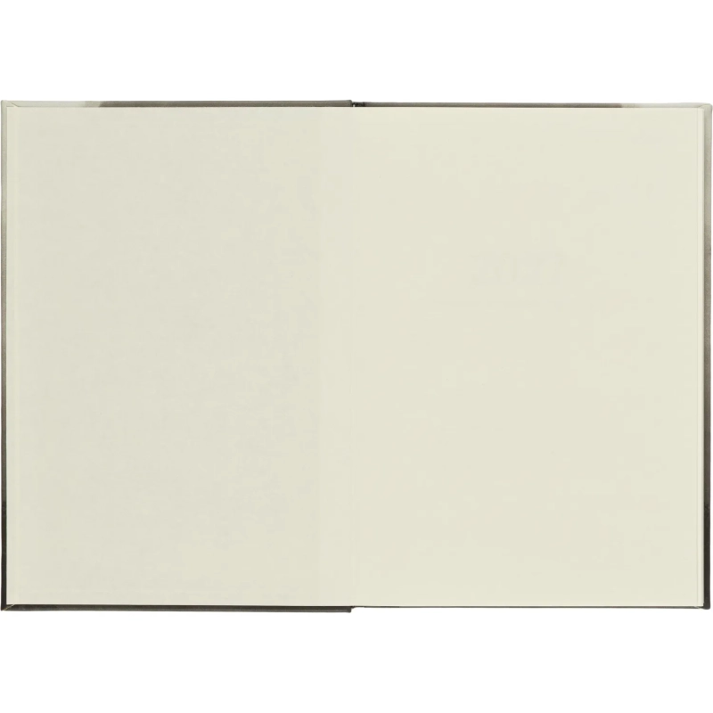 Ежедневник датированный 2027 IF 140x200мм 176л тверд Тишина I1920/wood