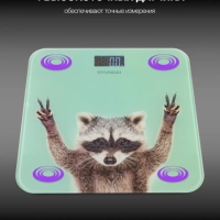 Весы напольные H-BS03589