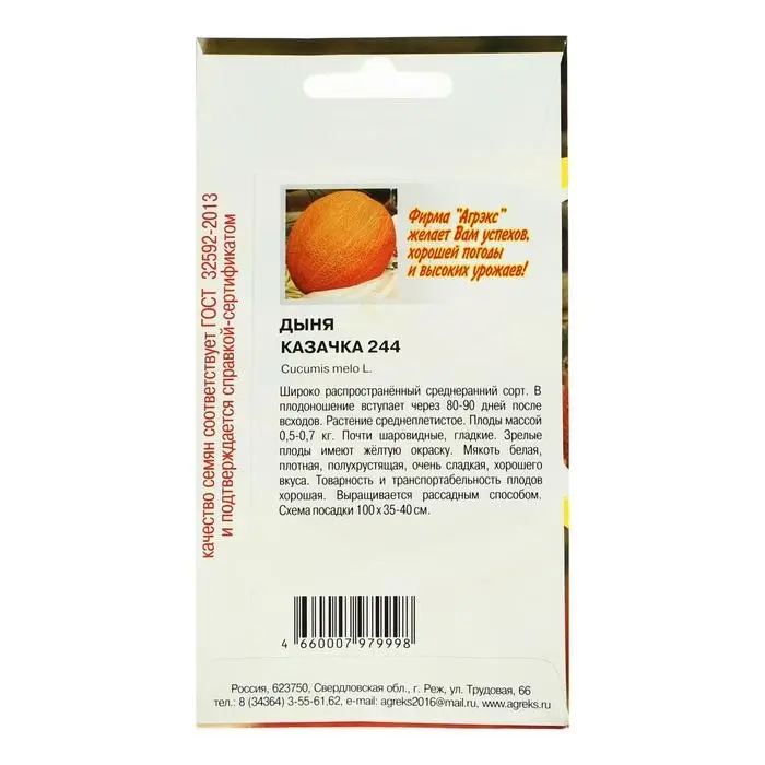 Семена Дыня  Семена Дыня "Казачка 244", 10 шт