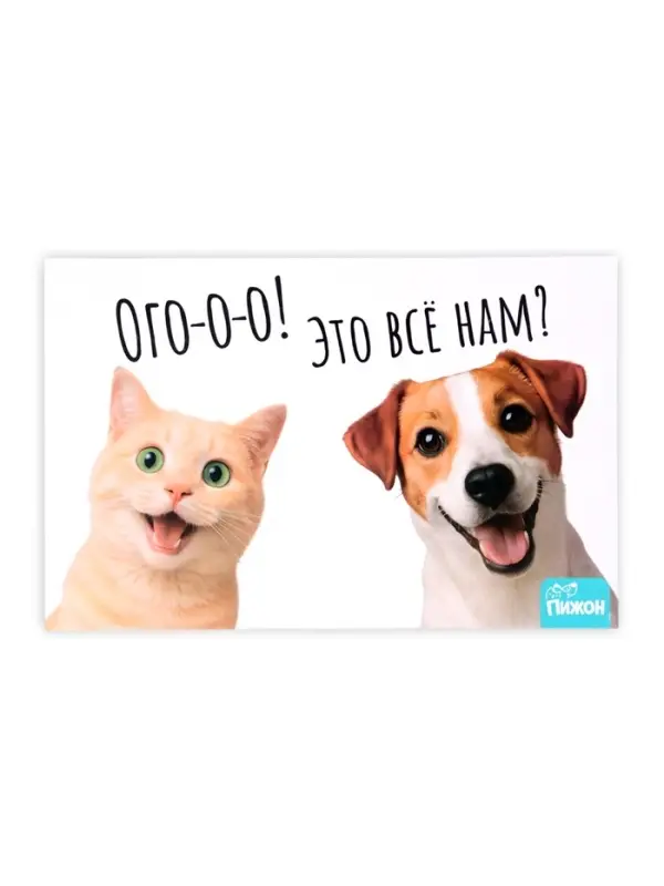 Коврик под миску &laquo;Пижон&raquo; 43&times;28 см &laquo;Ого! Это всё нам?&raquo;