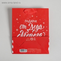 Пакет подарочный новогодний ламинированный «Подарок от Деда Мороза», S 12 х 15 х 5.5 см
