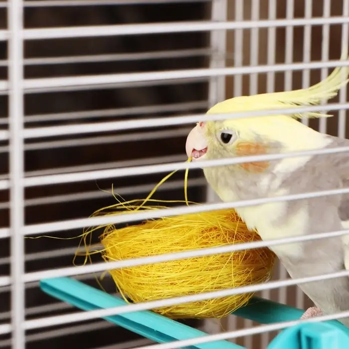 Гнездо, 7 см, крашеная солома, МИКС