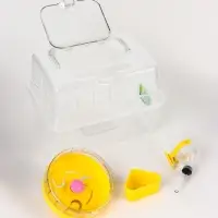 Клетка-переноска для грызунов, 23 х 17 х 16 см, прозрачная Клетка-переноска для грызунов, 23 х 17 х 16 см, прозрачная