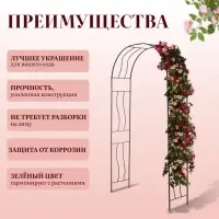 Арка садовая, 240&times;125&times;36.5 см, для вьющихся растений, металлическая, зелёная, &laquo;Волна&raquo;